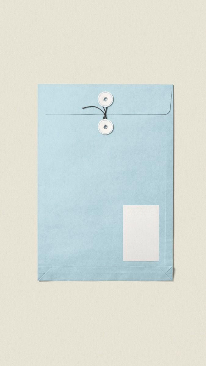 Letters From A Pigeon — Monthly Letter (International)