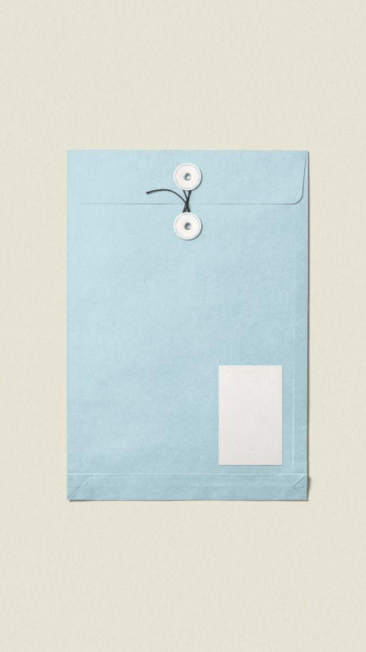 Letters From A Pigeon — Monthly Letter (Switzerland)