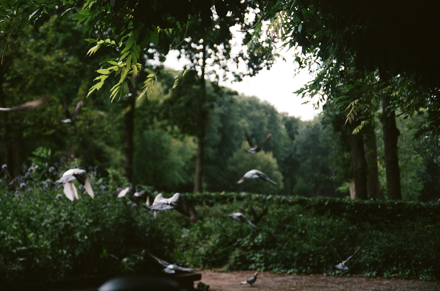 © 2026, Weronika Welihodska, All rights reserved